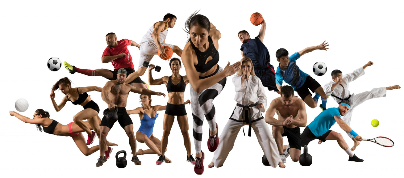 Sport Culture and Health Education